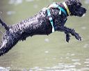 20160820-cwd-0367