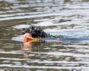 20160820-cwd-0376