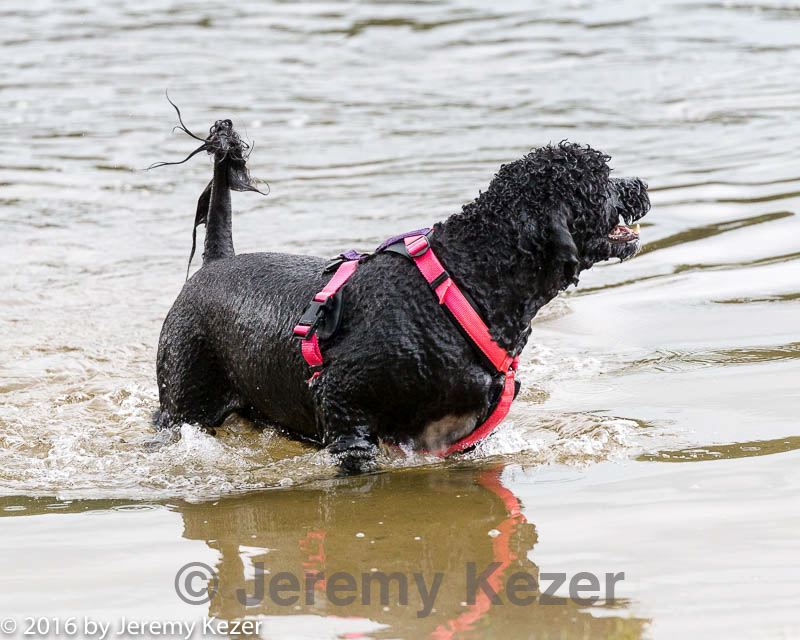 20160820-cwd-0016.jpg