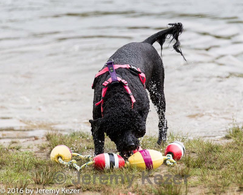 20160820-cwd-0022.jpg