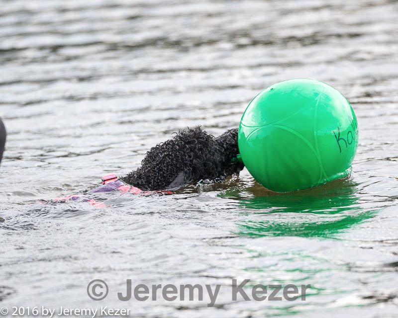 20160820-cwd-0056.jpg
