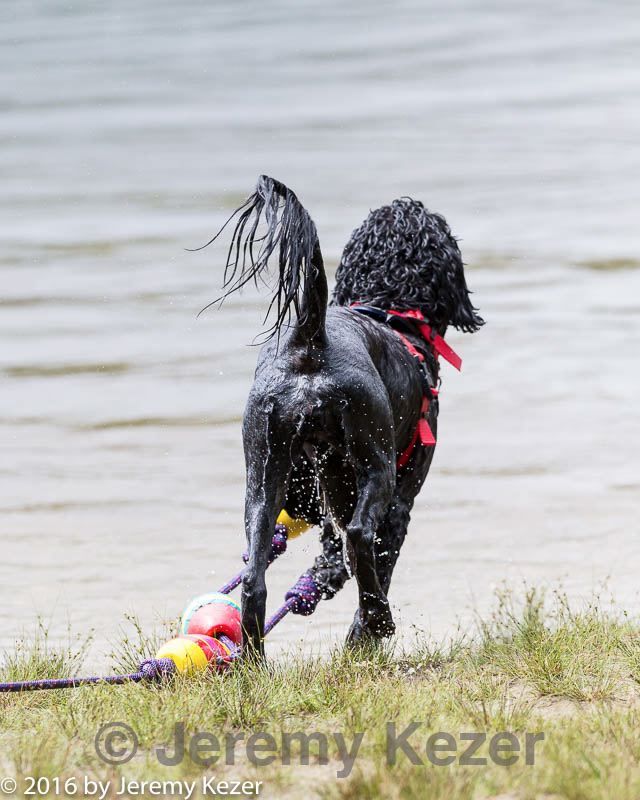 20160820-cwd-0169.jpg