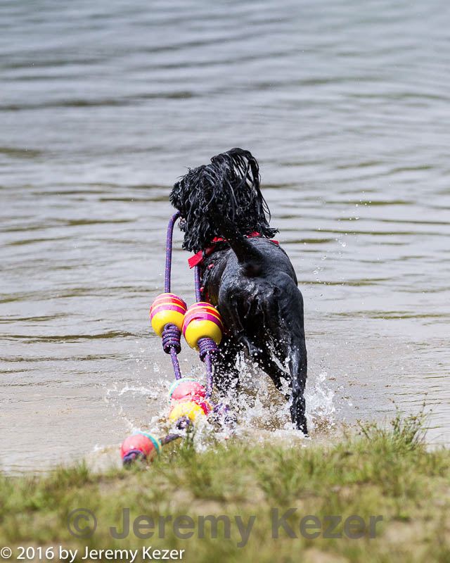 20160820-cwd-0174.jpg