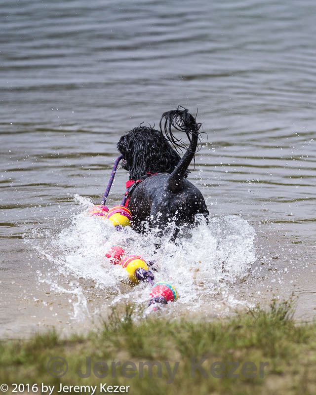 20160820-cwd-0177.jpg
