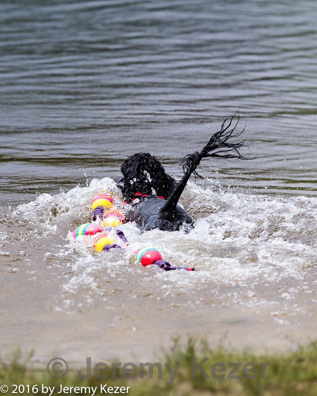 20160820-cwd-0182.jpg