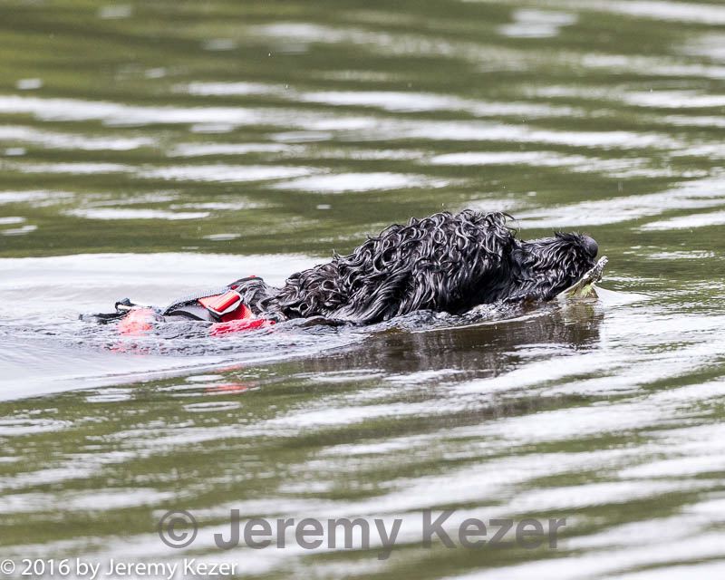 20160820-cwd-0200.jpg