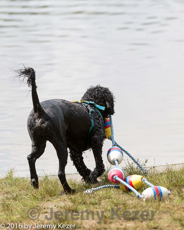 20160820-cwd-0266.jpg