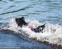 20160820-jwd-0024