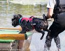20160820-jwd-0044