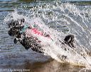 20160820-jwd-0061