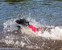 20160820-jwd-0069