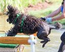 20160820-jwd-0117