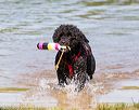 20160820-jwd-0199
