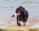 20160820-jwd-0201