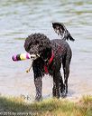 20160820-jwd-0207