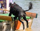 20160820-jwd-0209