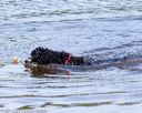 20160820-jwd-0259