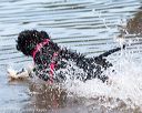 20160820-jwd-0273