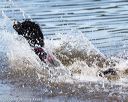 20160820-jwd-0277