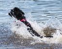 20160820-jwd-0278