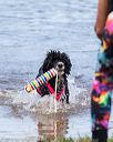 20160820-jwd-0285