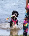 20160820-jwd-0287