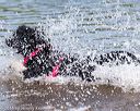 20160820-jwd-0299