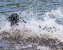 20160820-jwd-0300