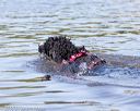 20160820-jwd-0305