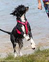 20160820-jwd-0326