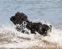 20160820-jwd-0341