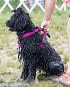 20160820-jwd-0367