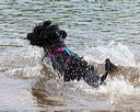 20160820-jwd-0370