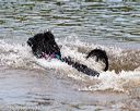 20160820-jwd-0372