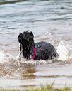 20160820-jwd-0407