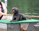20160820-v-0002