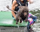 20160820-v-0014