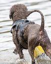 20160820-v-0034
