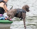 20160820-v-0050