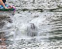 20160820-v-0077