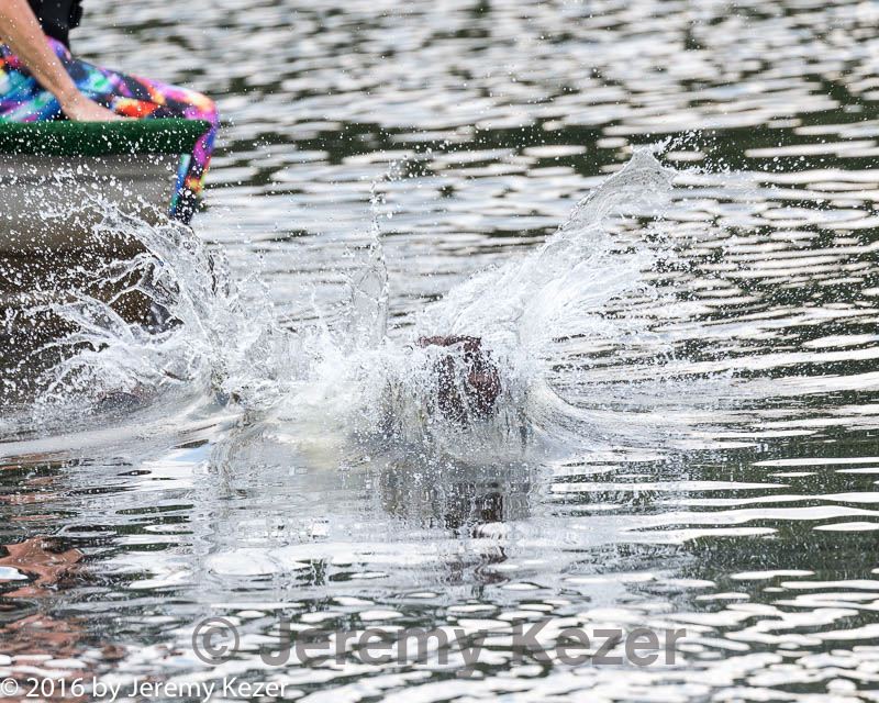 20160820-v-0077.jpg