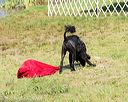20160820-wwd-0001