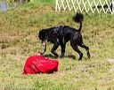 20160820-wwd-0003