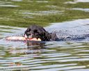 20160820-wwd-0019
