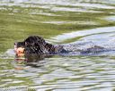 20160820-wwd-0020