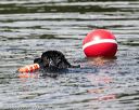 20160820-wwd-0043