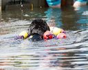 20160820-wwd-0050