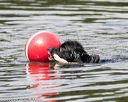 20160820-wwd-0059