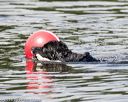 20160820-wwd-0062