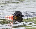 20160820-wwd-0082
